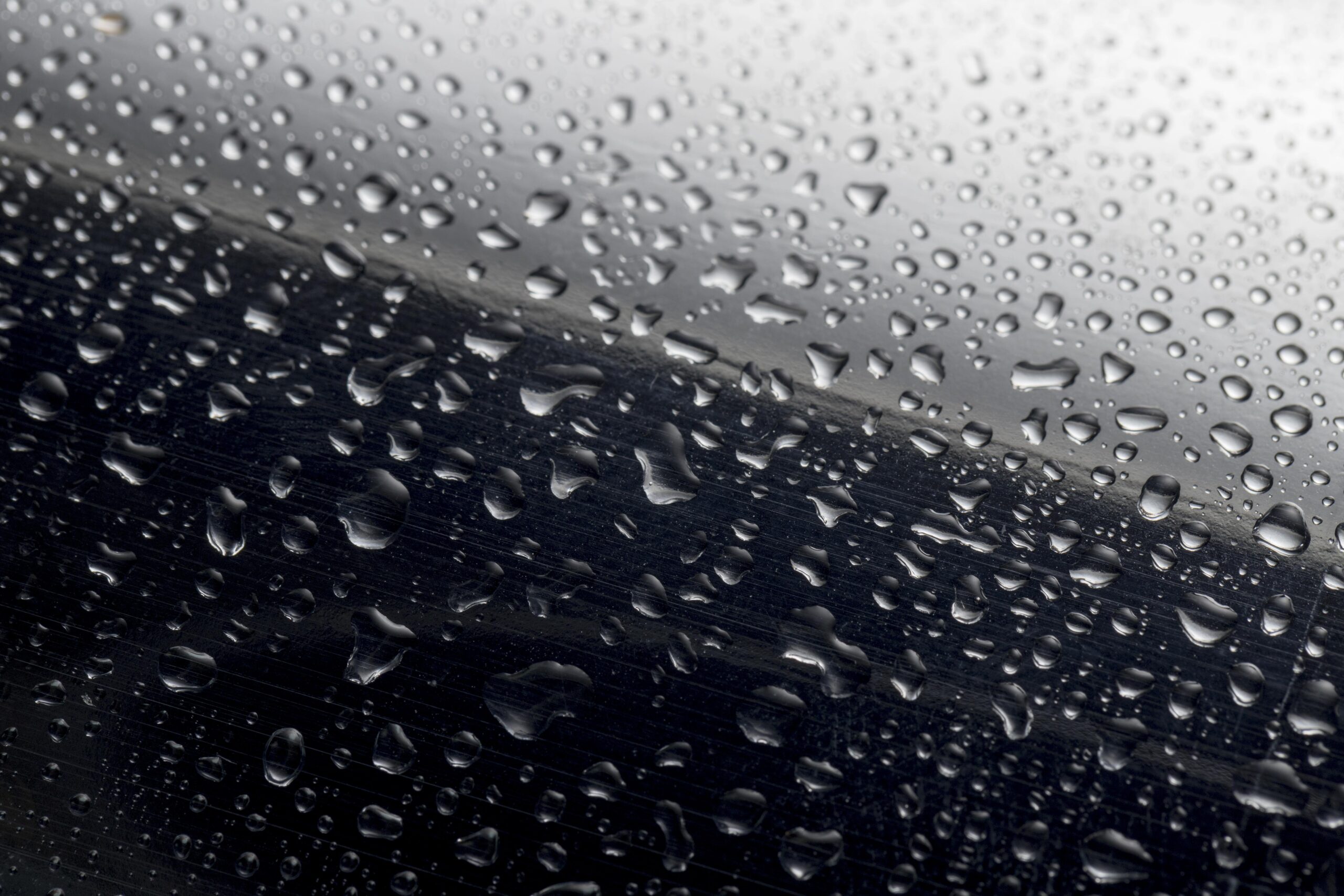 Paint Protection Film